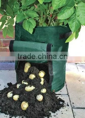 grow bag, potato grow bag, strawberry grow bag.