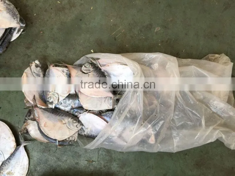 2016 China frozen whole round good quality Moon Fish 150-200g/pcs