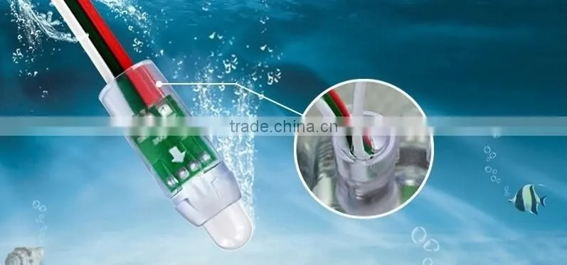 RGB Waterproof IP68 WS2811 LED Light LED Christmas Light