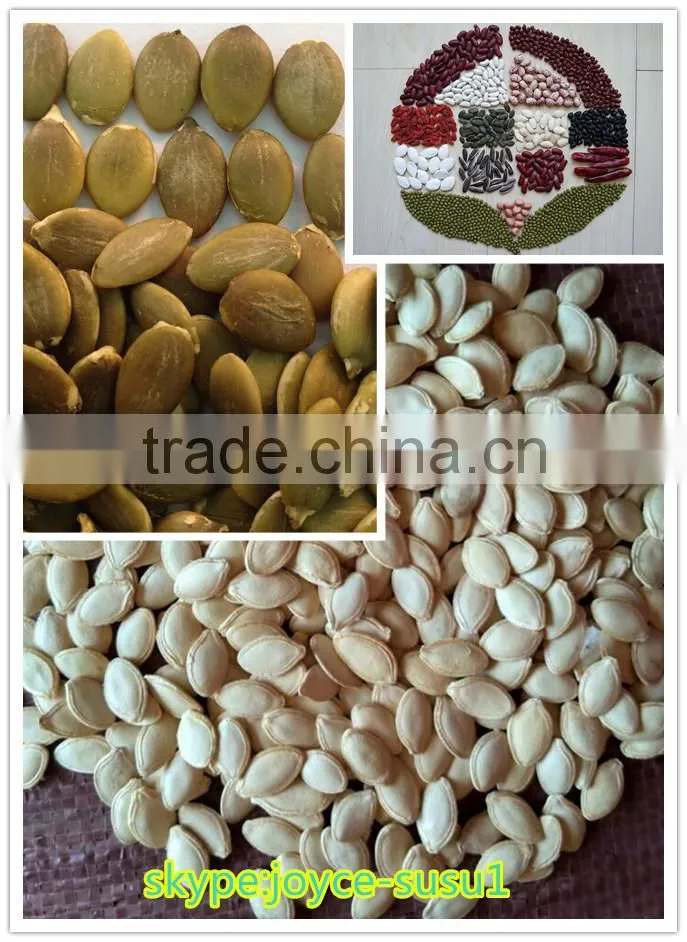 Shine Skin Pumpkin Seeds Kernels, grade A