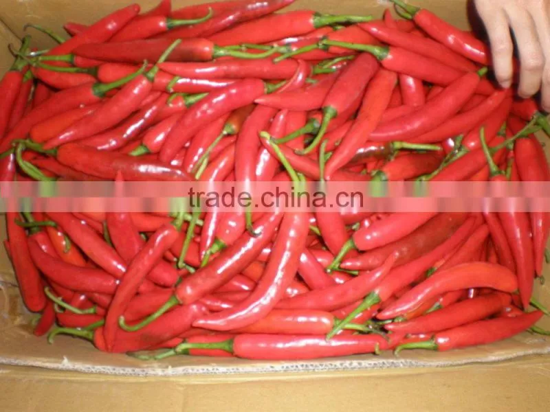 Fresh Red Hot Chili