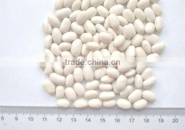 white kideny beans