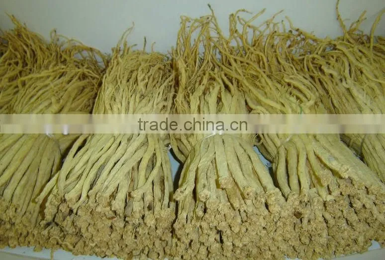 Pilose Asiabell Root Extract