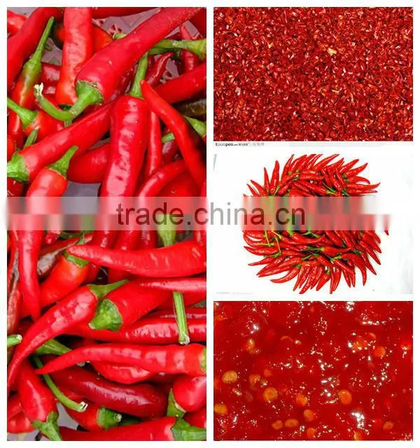 Hot sale ! fruit pulp extractor machine