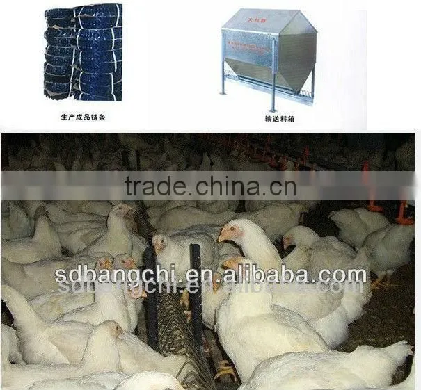 automatic chain style feeder conveyor system for breeder