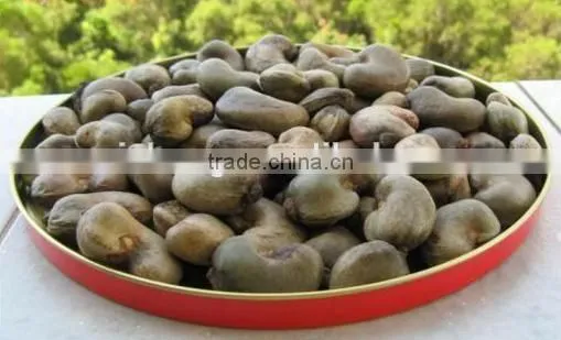 High efficiency cashew kernel shell separator machine