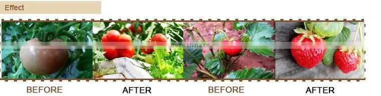 Factory Sale Price Soil organic fertilizer plant