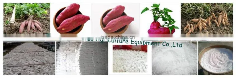 20ton per day full automatic sweet potato starch line