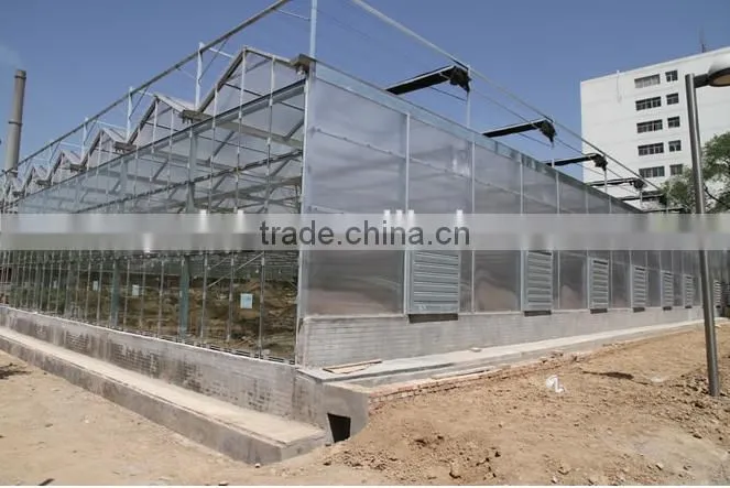 Commercial Flower Vegetable Polycarbonate Greenhouse