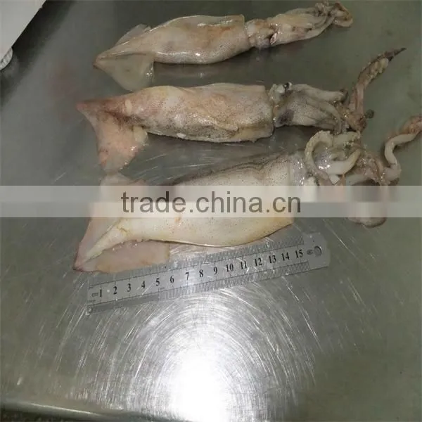 Best Cooking Frozen Squid