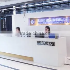 Shantou Chenghai Hobby Win Industry Co., Ltd. company overview - view 1