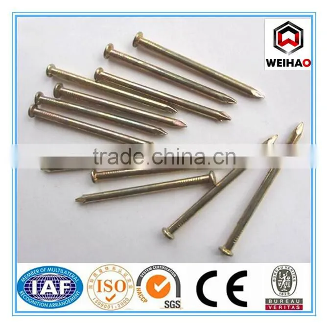 Good quality manufacture in China concrete kg nails 1 inch 2 inch