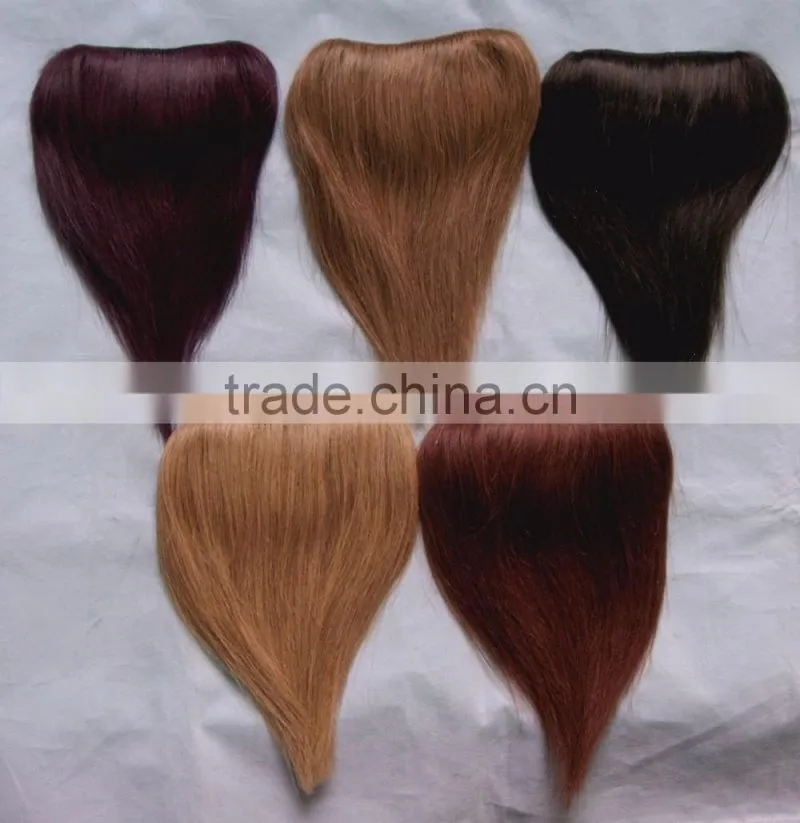 Hot Selling Human Hair Bang Pieces 100% Human Hair Fringe in Wigs