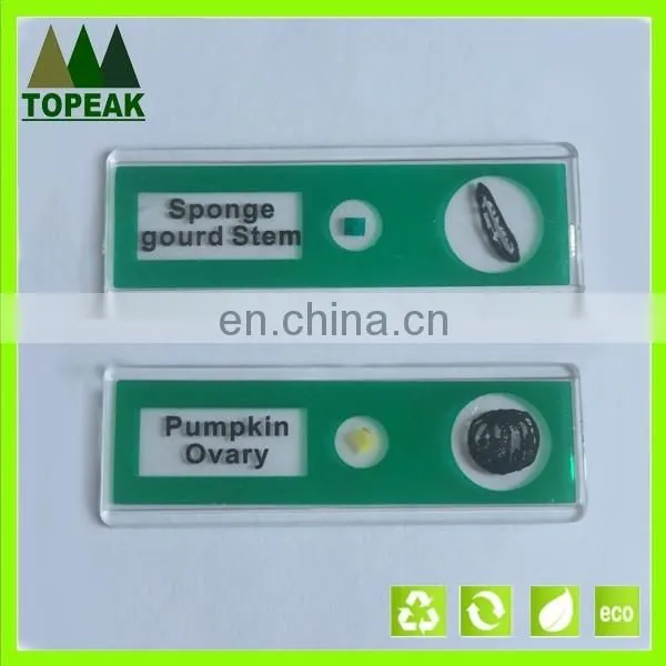 Vegetable type plant serial plastic Microscope prepared Slides