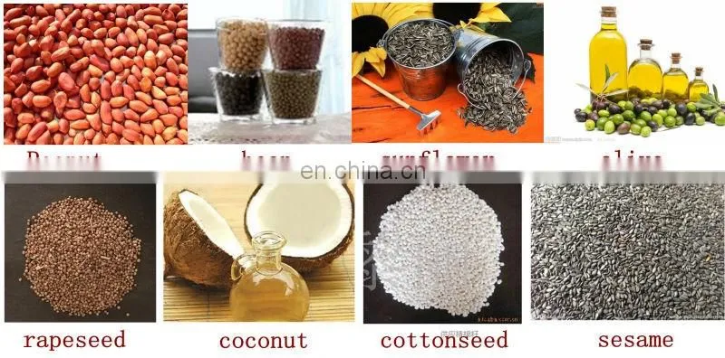 Big capacity olive oil press machine/oil press machine virgin coconut extracting machine