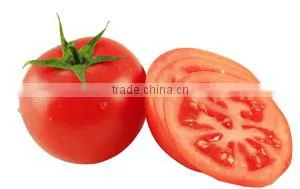 KH Free Design commercial tomato slicer