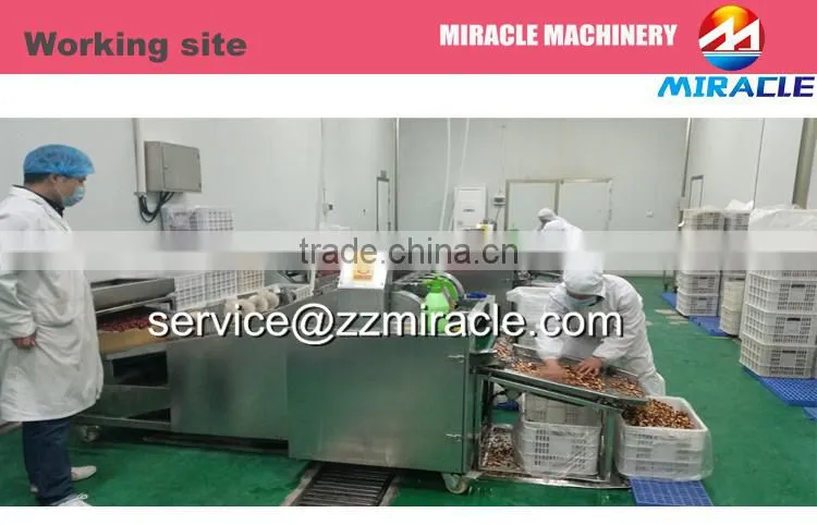 Hot selling dried dates cutter slicing stainless steel machine price