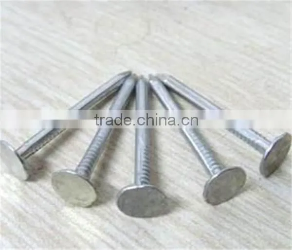 galvanized clout nails factory