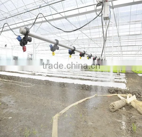 Cut Flower Greenhouse For Middle East