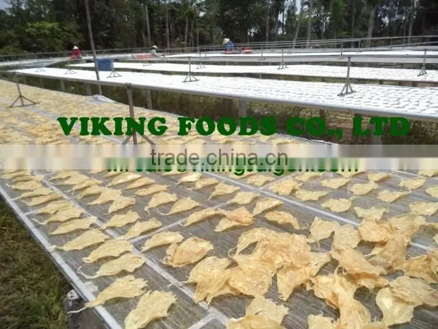 DRIED CAT FISH MAW - HOT SELLING