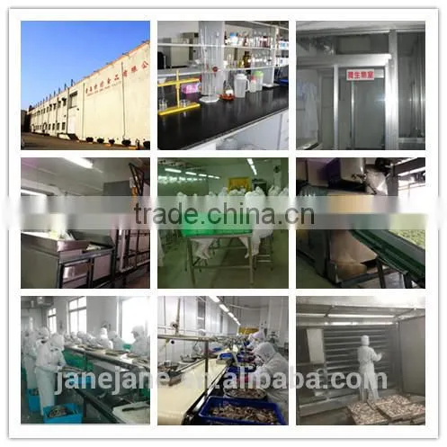 Frozen Bulk Cuttlefish Ball