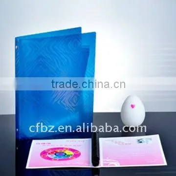 PP File Folder