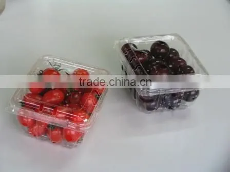 Factory price plastic transparent small box