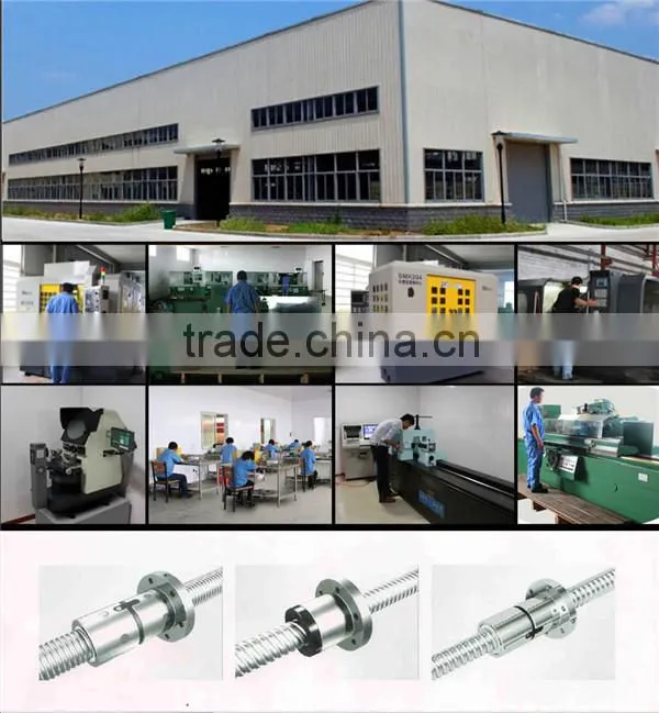 2013 Cheap and High Quality Professional Manufacturer Ball Screws SFU3205
