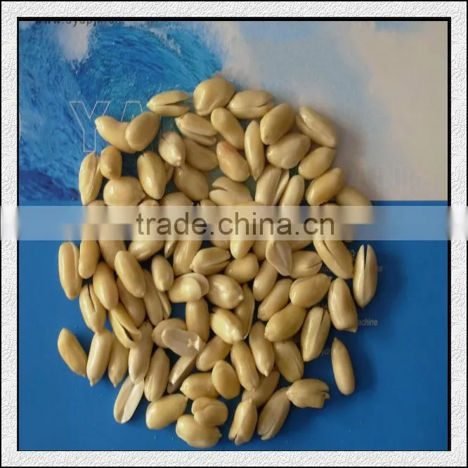 Alomond Wet Peeling|Processing Machine
