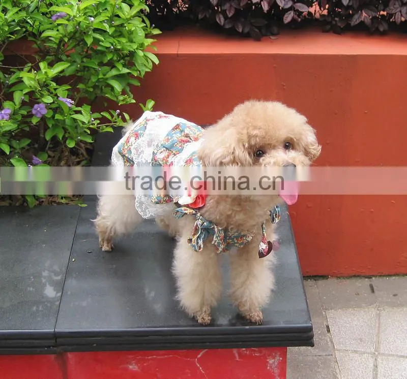 knitting pattern for dog clothes xxx small dog clothes pet clothes