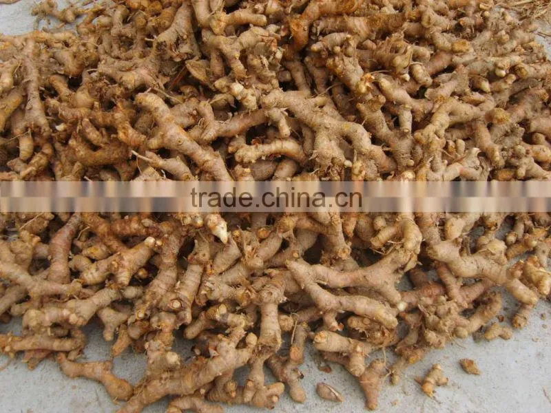Galangal root export to Sudan