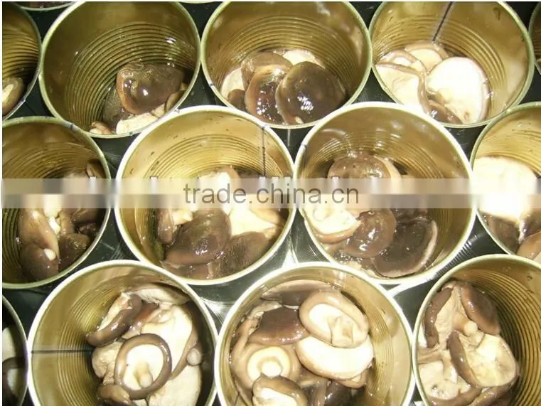 2015 canned shitake mushroom slices for sale