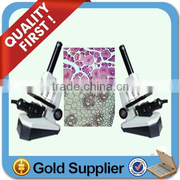 Microscope Glass Slide and Coverslip