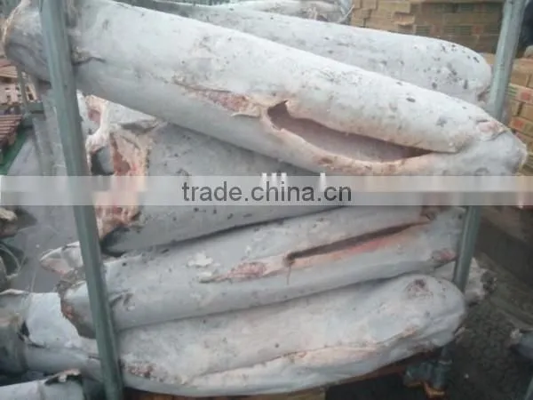 high quality seafrozen swordfish dwt for sale