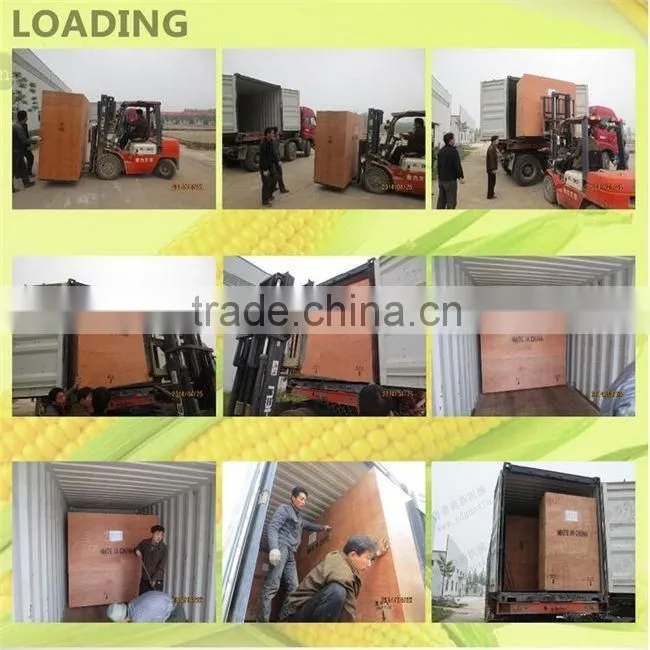 China Aohua hot sale automatic packing machine