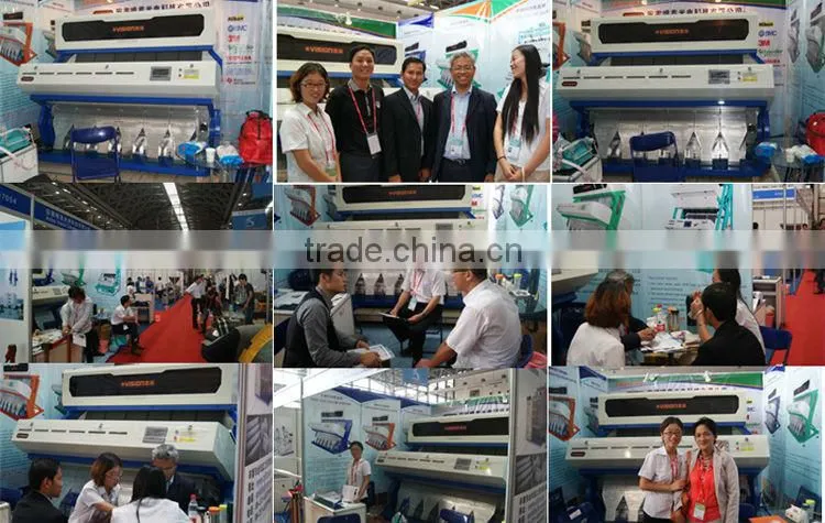 Double camera CCD Sensor Seeds sorting machine or seeds color sorter