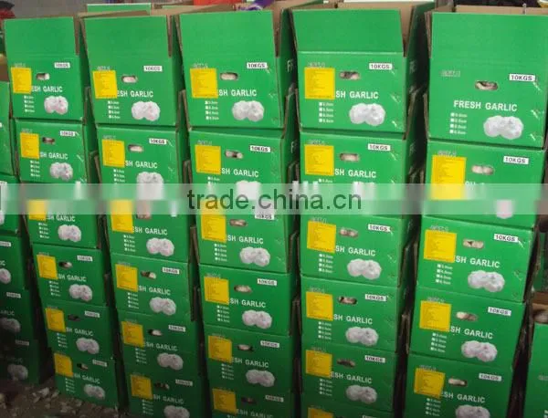 China natural fresh garlic price from Cold Storage