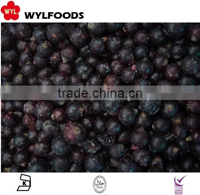 IQF frozen balck currant hot sale 2015