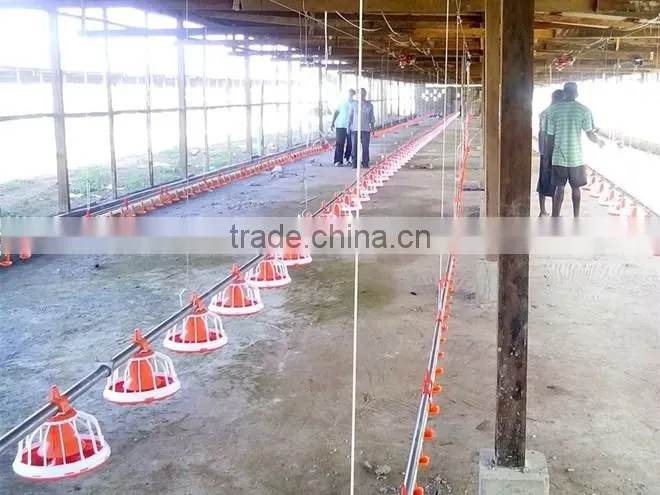 commercial steel structure poultry house/chicken farm/broiler shed