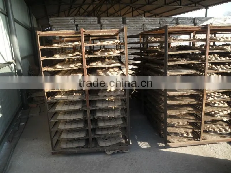 500-4000pieces/h Easy to operate egg tray pulp machine with dry systerm