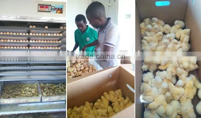 Leo-528 egg incubator automatic egg hatcher machine