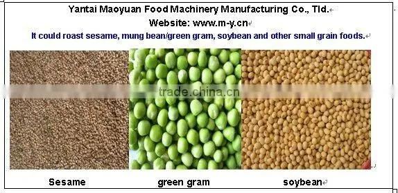 Gas soybean roaster