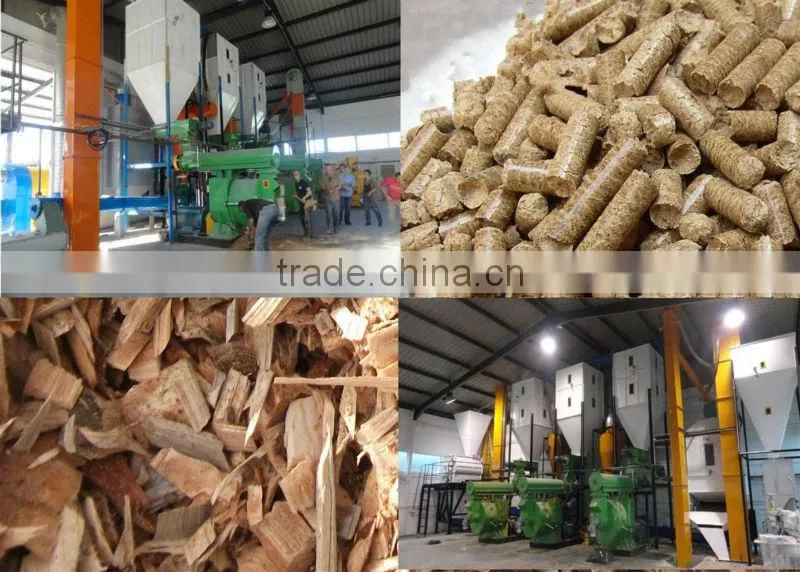 provide complete wood pellet line and new type plastic pellet making machine