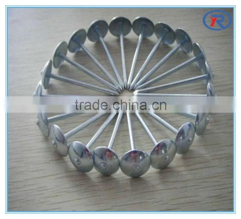 Umbrella head roofing nails and construction nails