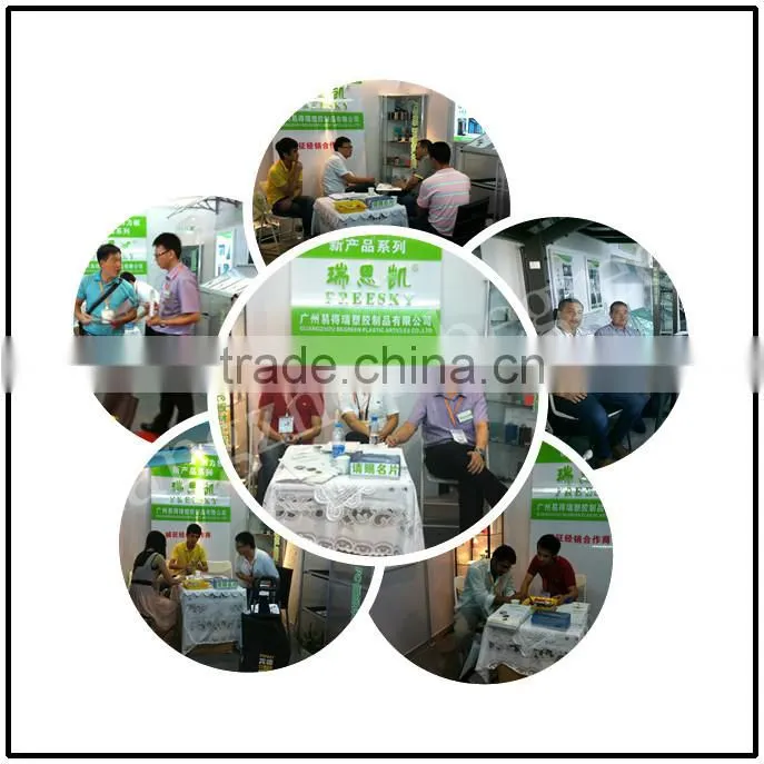 Freesky plastic window canopy, PC canopy