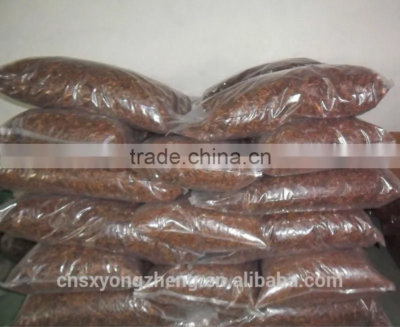 Good Quality Mealworms for Pet Birds ;Yongzheng Mealworms