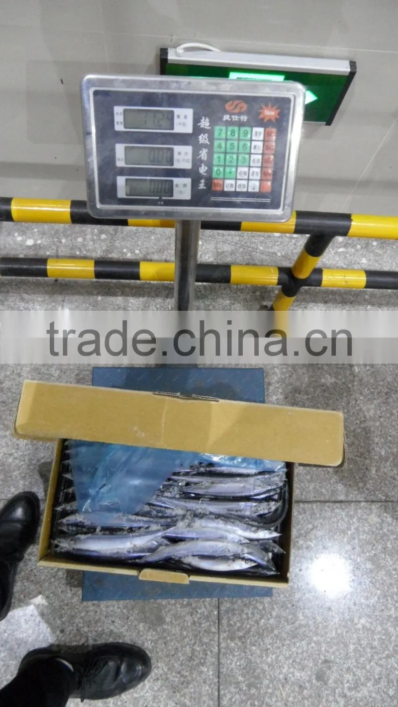 China frozen pacific saury 80-100g3# size for sale
