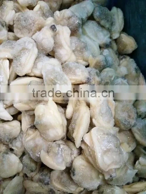 BOILED AND READY TO EAT SHORT NECKED CLAM