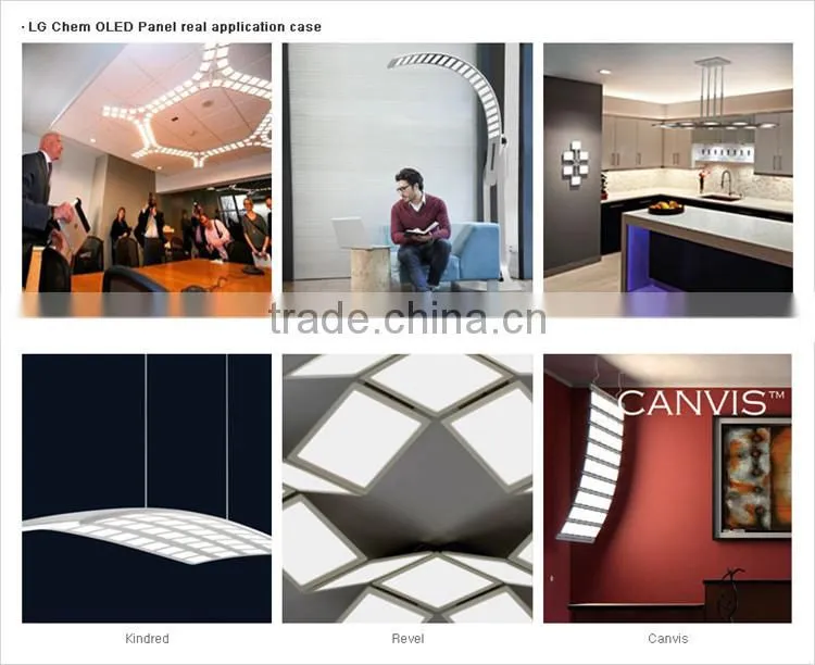 LG chem new product oled light with 210*50(MM)