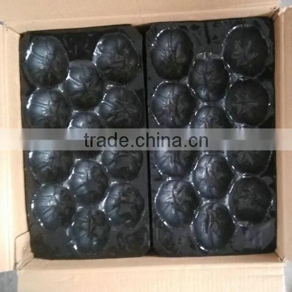 Display Tray fruit packing tray Customed PP Fruit Tray Packaging